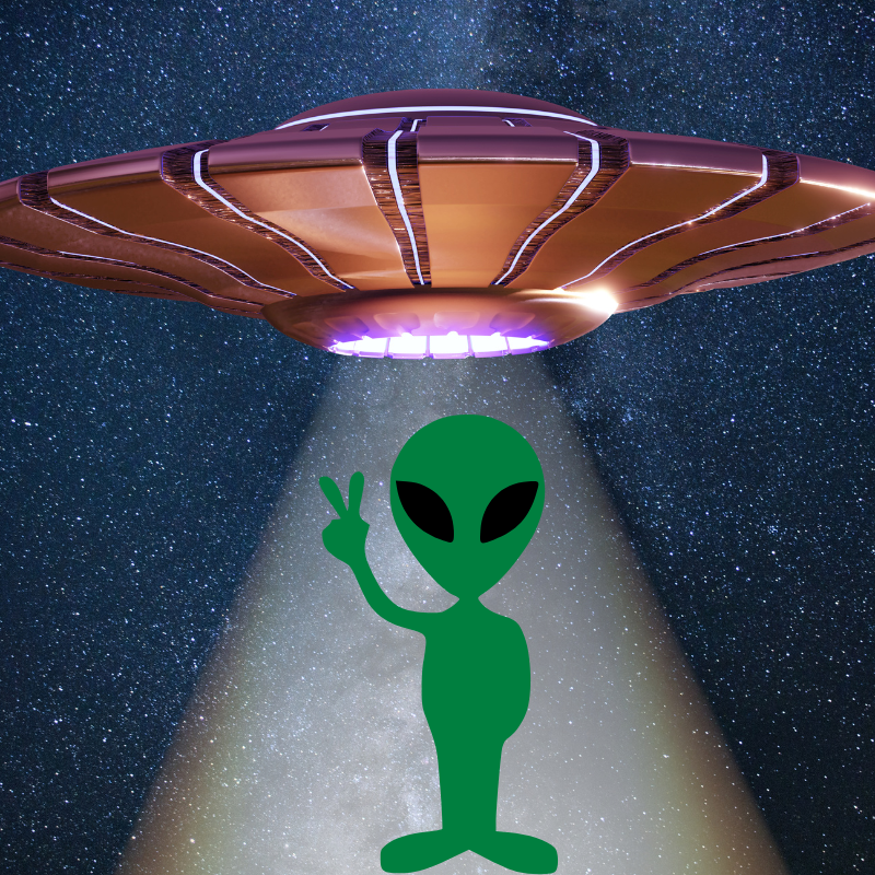 - Fragrance Oil for Candle Making & Wax Melts | Blossom Oils