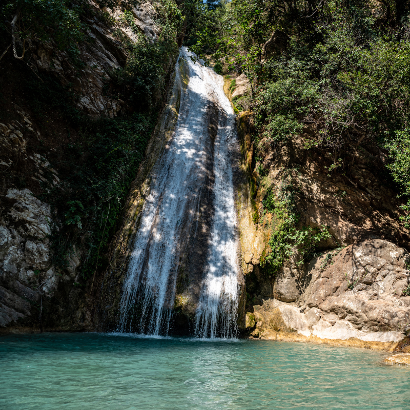 Arcadia Fragrance Oil - Fragrance Oil for Candle Making & Wax Melts | Blossom Oils