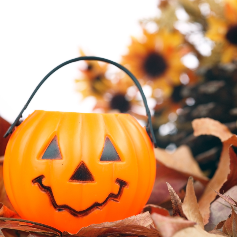 Candy Casket Fragrance Oil