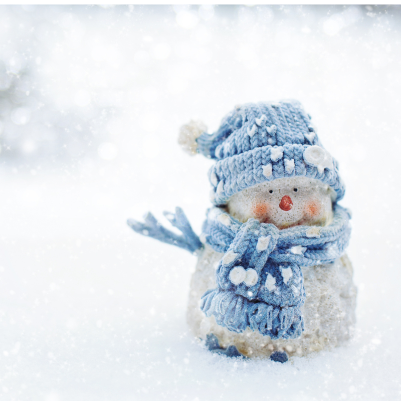 Do You Want To Build A Snowman? Fragrance Oil - SweetFragrance Oil for Candle Making & Wax Melts | Blossom Oils