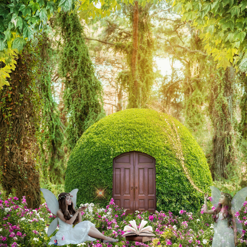 Enchanted Forest Fragrance Oil