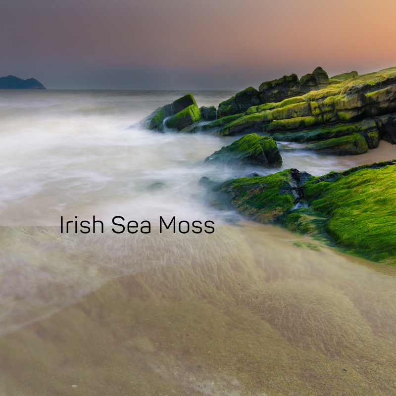 Irish Sea Moss Fragrance Oil - Fragrance Oil for Candle Making & Wax Melts | Blossom Oils