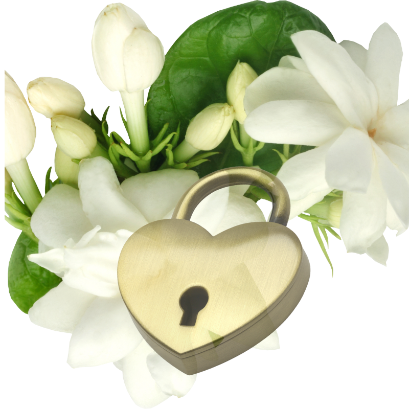 Jasmine's Locket Fragrance Oil
