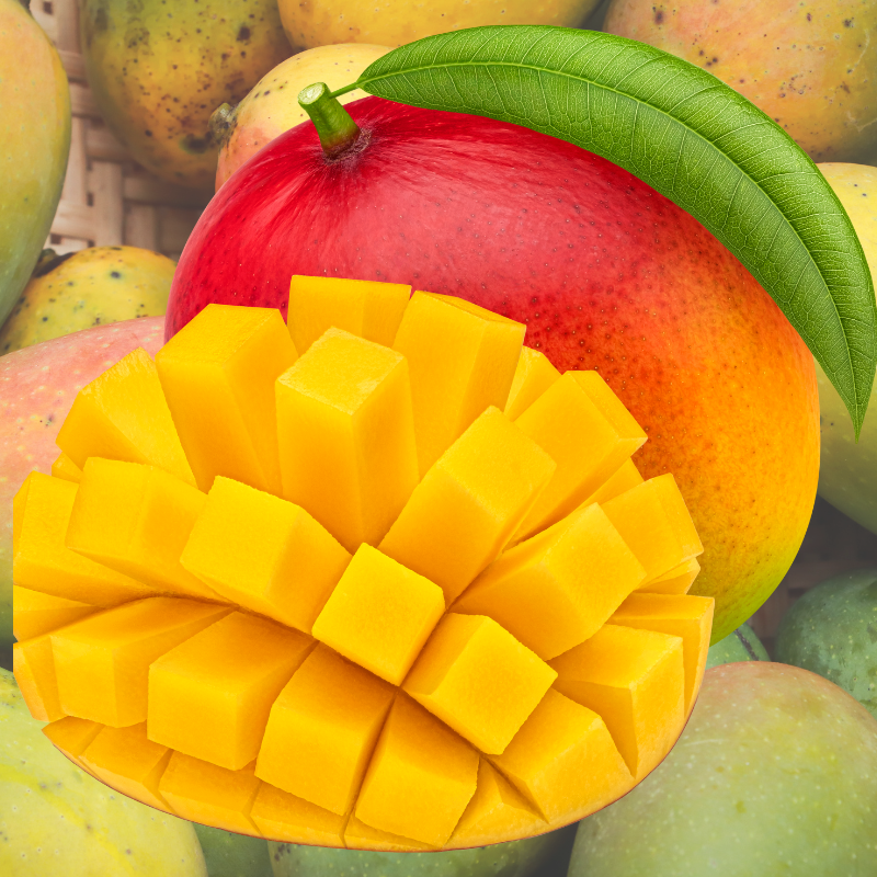 Mango Passion Fragrance Oil - Fruity SweetFragrance Oil for Candle Making & Wax Melts | Blossom Oils