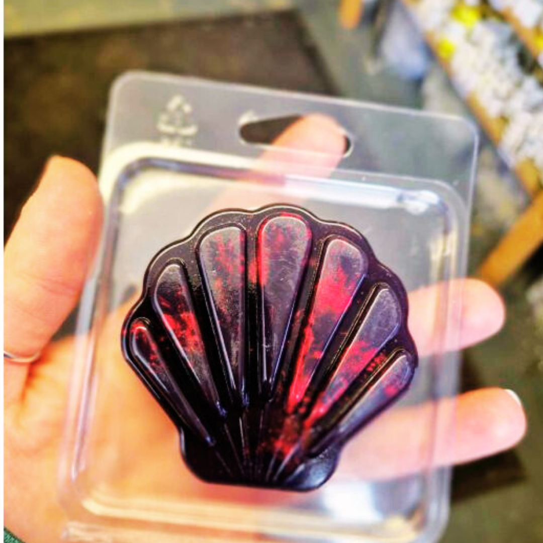 Shell Clamshell Wax Melt Clamshell