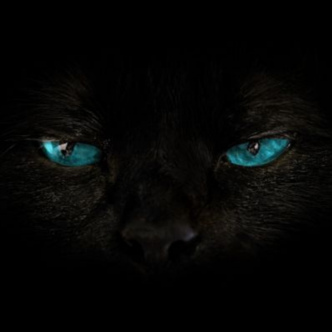 Superstition Fragrance Oil