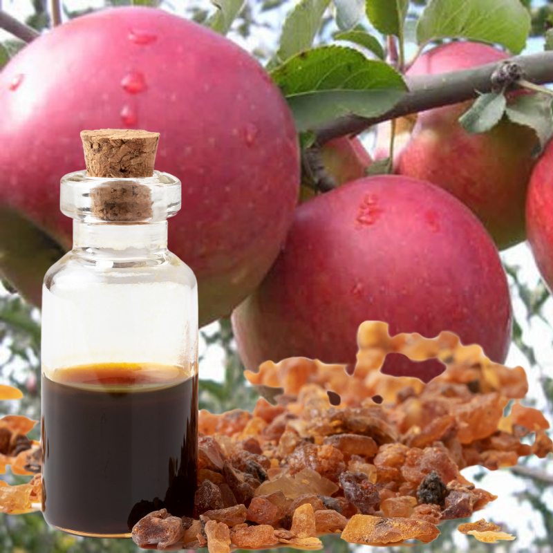 Santana Apple & Myrrh Fragrance Oil