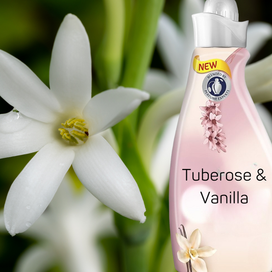 Comfort Tuberose Fragrance Oil