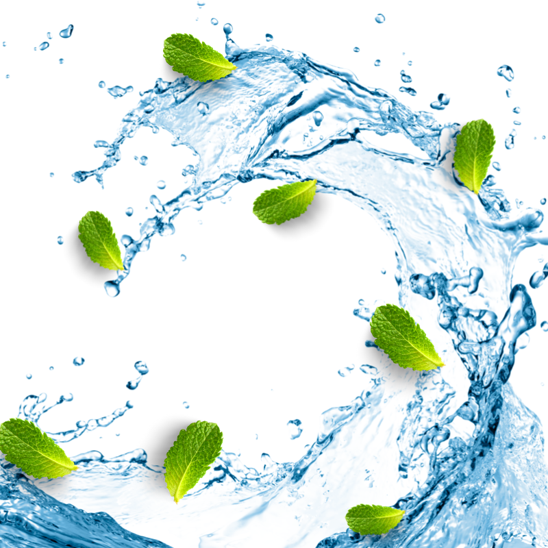 Au Blanc Fragrance Oil - FreshFragrance Oil for Candle Making & Wax Melts | Blossom Oils