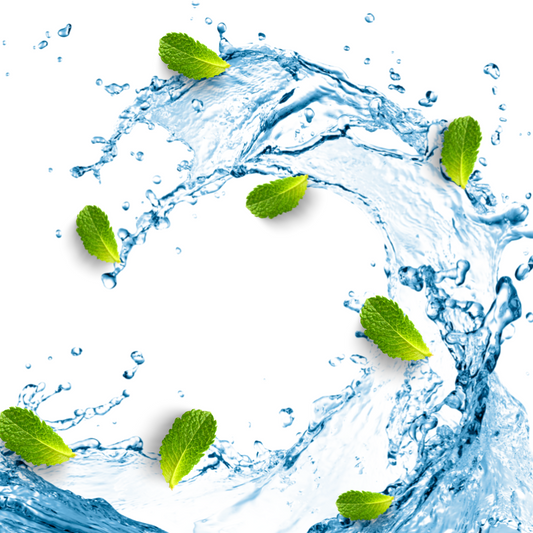 Au Blanc Fragrance Oil