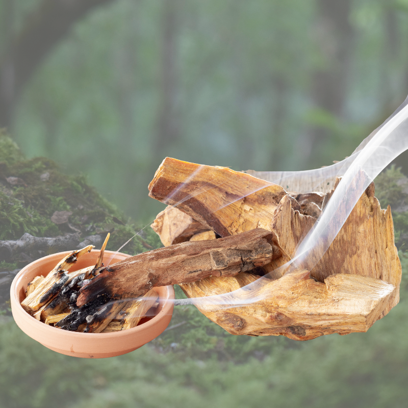 Palo Santo, Sandalwood & Moss Fragrance Oil
