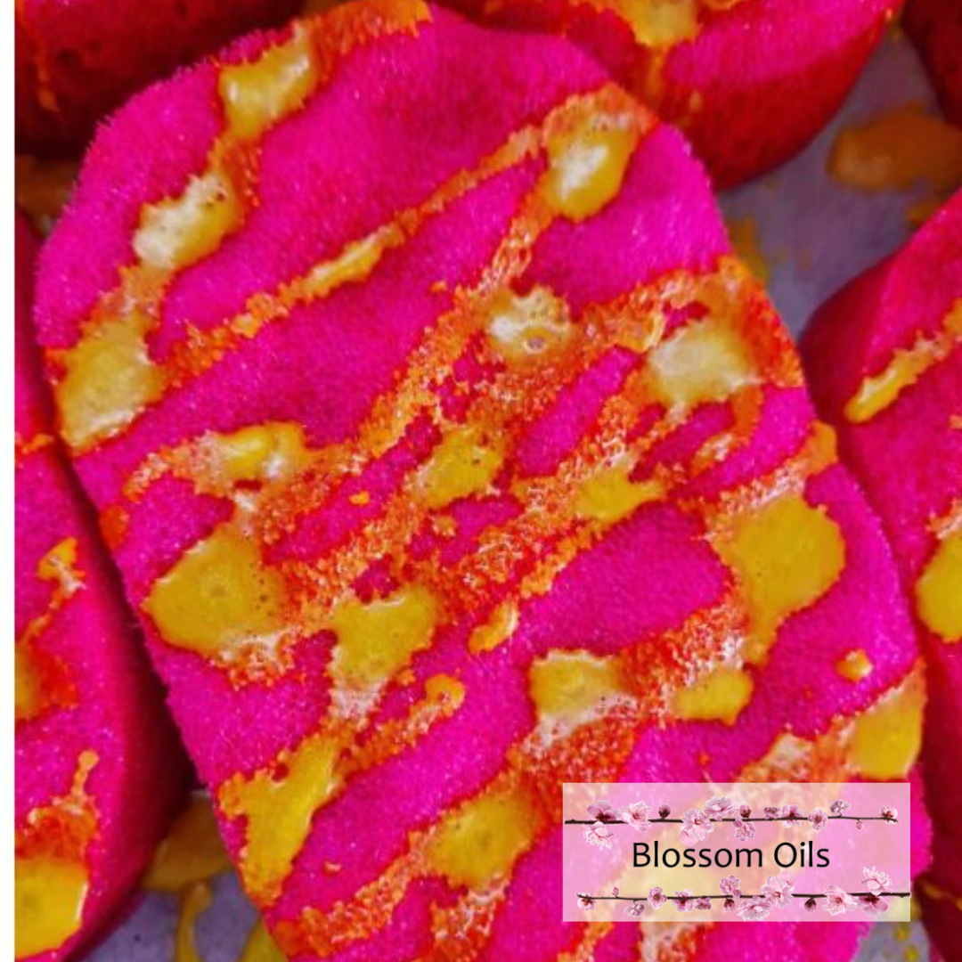 Soap Filled Sponges x6 - White Label