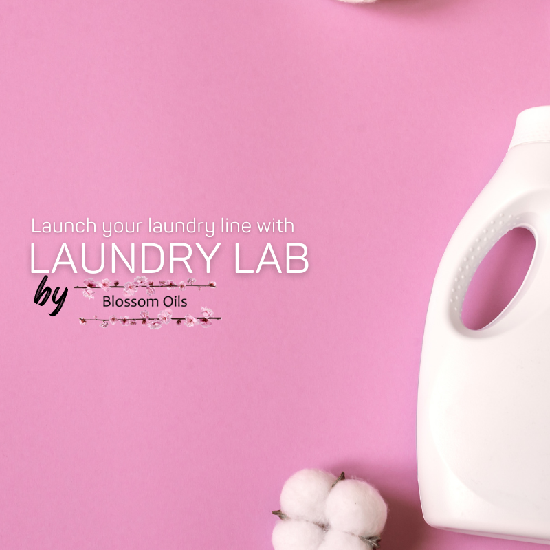 Laundry Lab