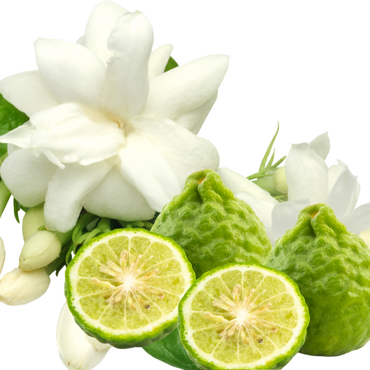 Bergamot White Jasmine Fragrance Oil