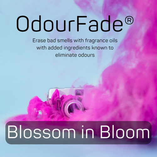 Blossom In Bloom OdourFade® Fragrance Oil