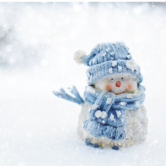 Do You Want To Build A Snowman? Fragrance Oil