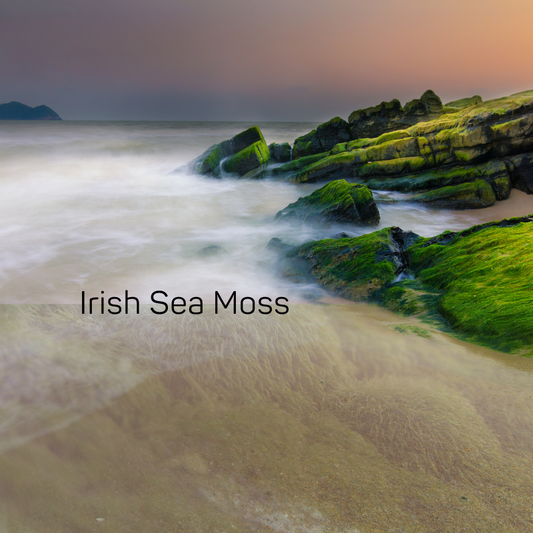 Irish Sea Moss Fragrance Oil