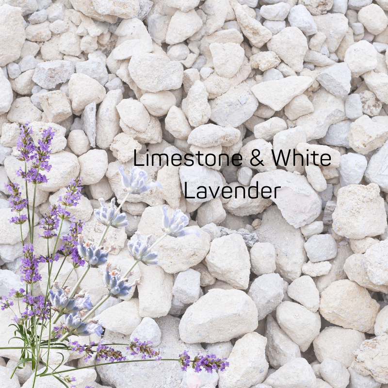 Limestone & White Lavender Fragrance Oil