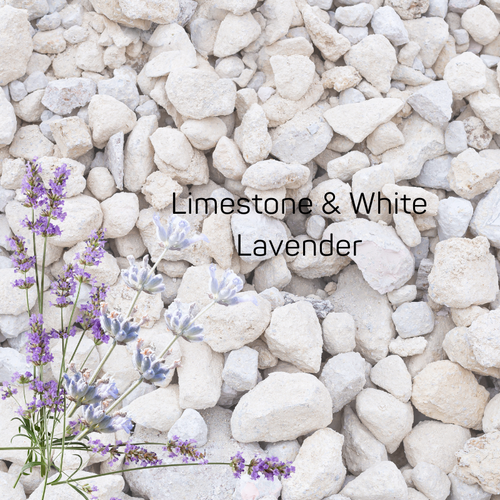 Limestone & White Lavender