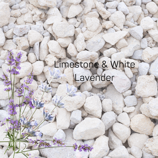 Limestone & White Lavender Fragrance Oil