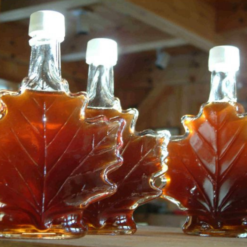 Maple & Elm Fragrance Oil