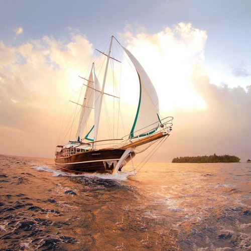 Marine Breeze
