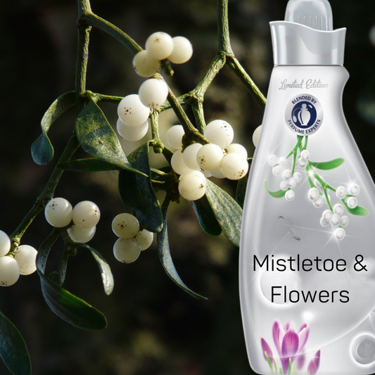 Mistletoe & Flower Creation Fragrance Oil