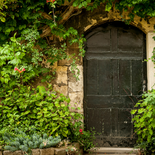 Secret Garden Fragrance Oil