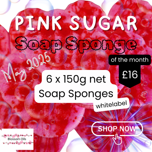 Soap Sponge of the Month - May 2025
