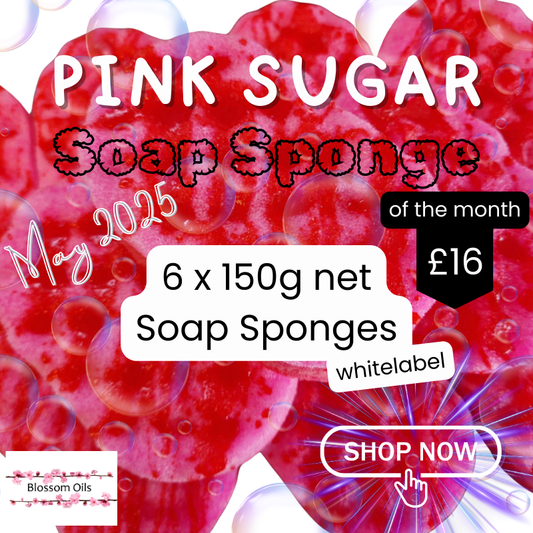 Soap Sponge of the Month - May 2025