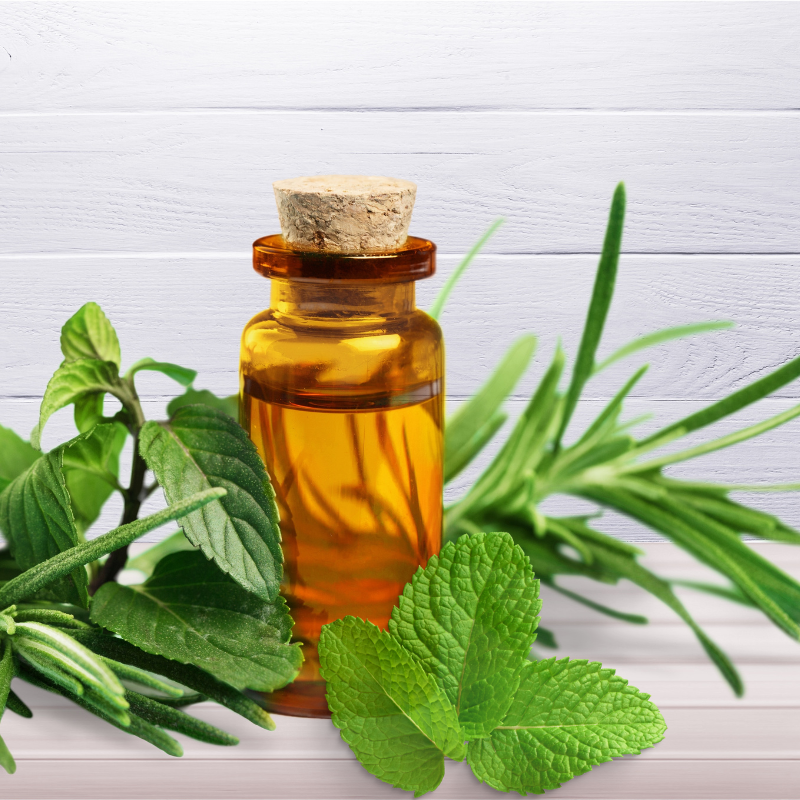 Tea Tree & Mint Fragrance Oil