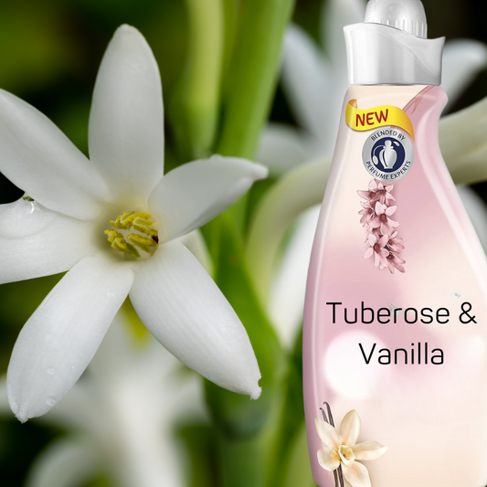 Tuberose & Vanilla Creation Fragrance Oil